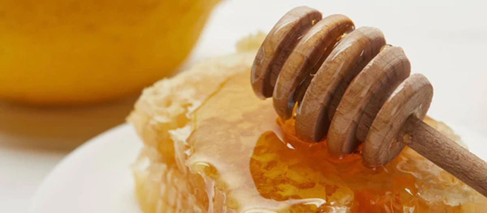 Dulce Luxury Islamic Arabian Decor Dulce Luxury Islamic Arabian Decor